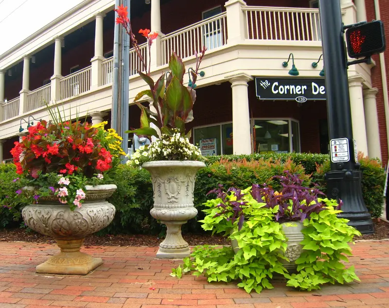 A street with many plants and flowers in pots.