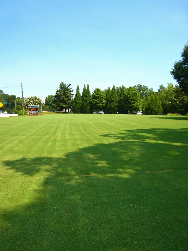 A green field with trees in the background