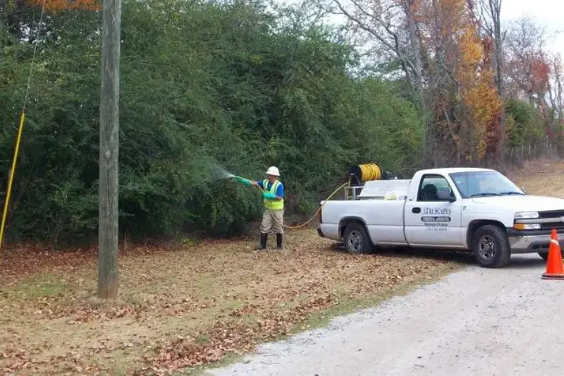 A man spraying trees with a truck behind him.