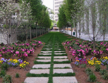 A walkway with grass and flowers in the middle of it.