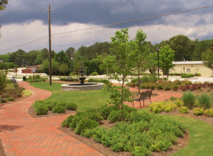 A park with trees and bushes in the middle of it.