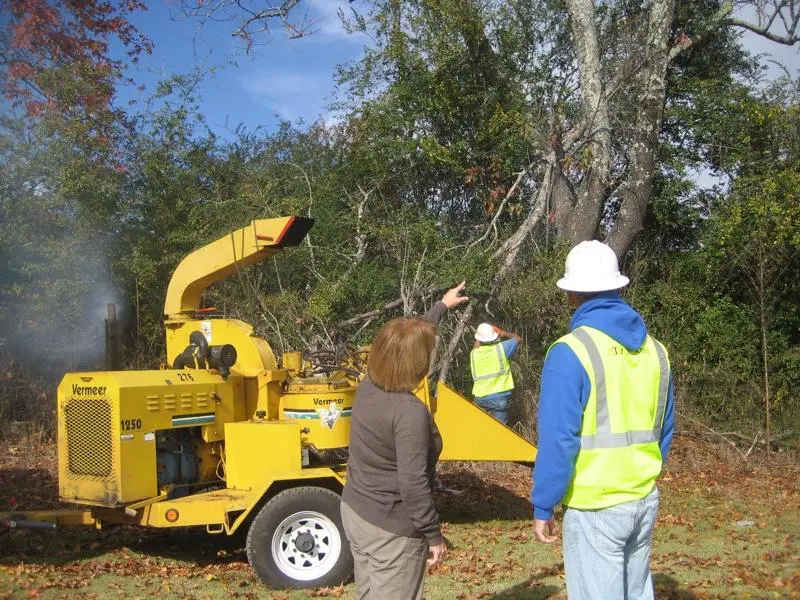 A man and woman standing next to a tree.