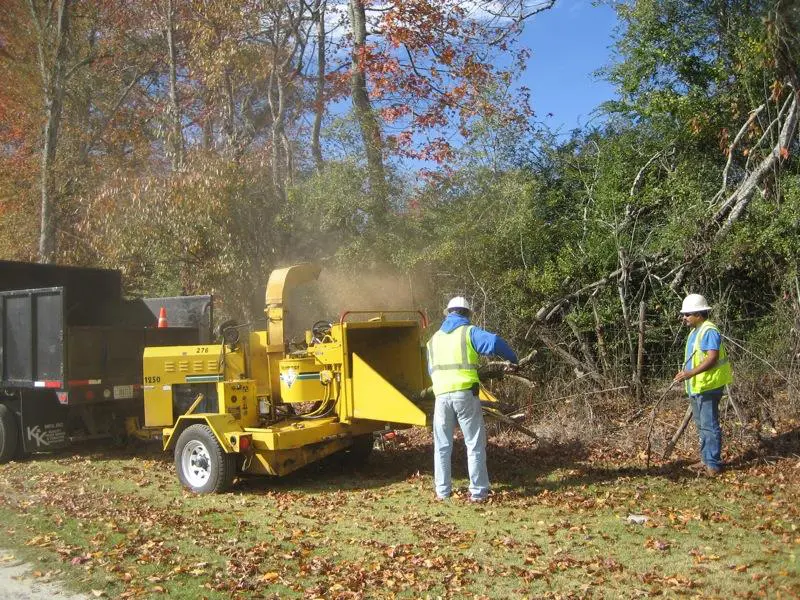 A group of men working in the woods on a stump.