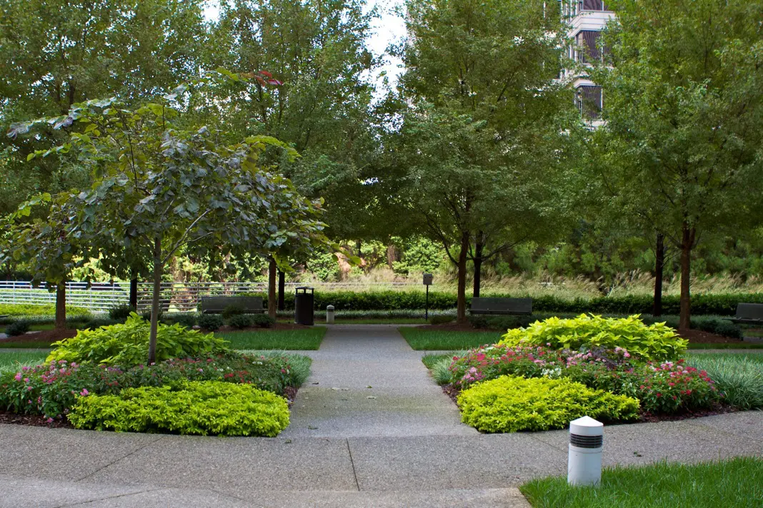 A walkway in the middle of a park with trees and bushes.